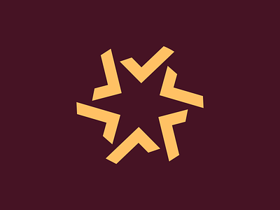 Star Logomark badge checkmark geometric logo logomark modern simple star