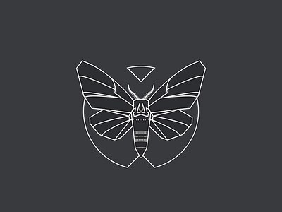 Shade Tattoo Co. logo modern monoline moth