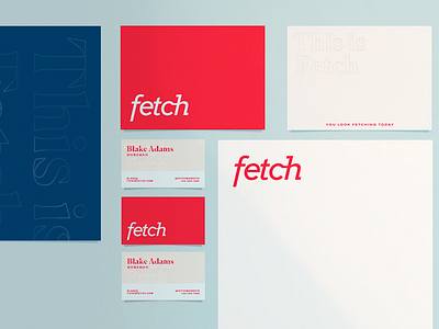 Fetch Business Stationery blue branding branding design business card design logo minimal modern print print design red simple