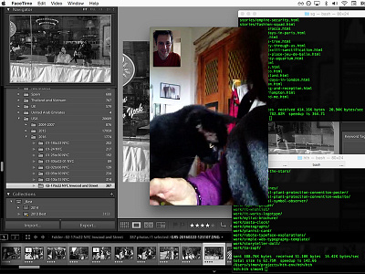 Hello Mom & Peste! bash cat code editing lightroom mom photography screenshot terminal voip