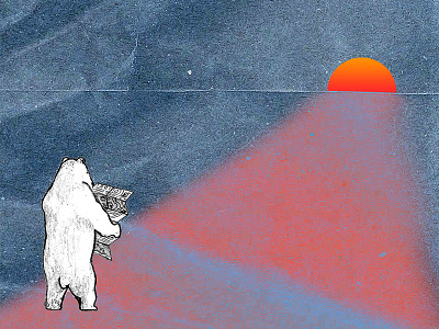 Polar Bear With Map arctic climate change map polar bear sunrise sunset