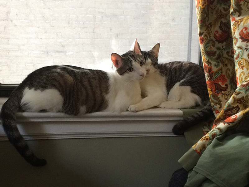 Workday by Simon Griffee on Dribbble