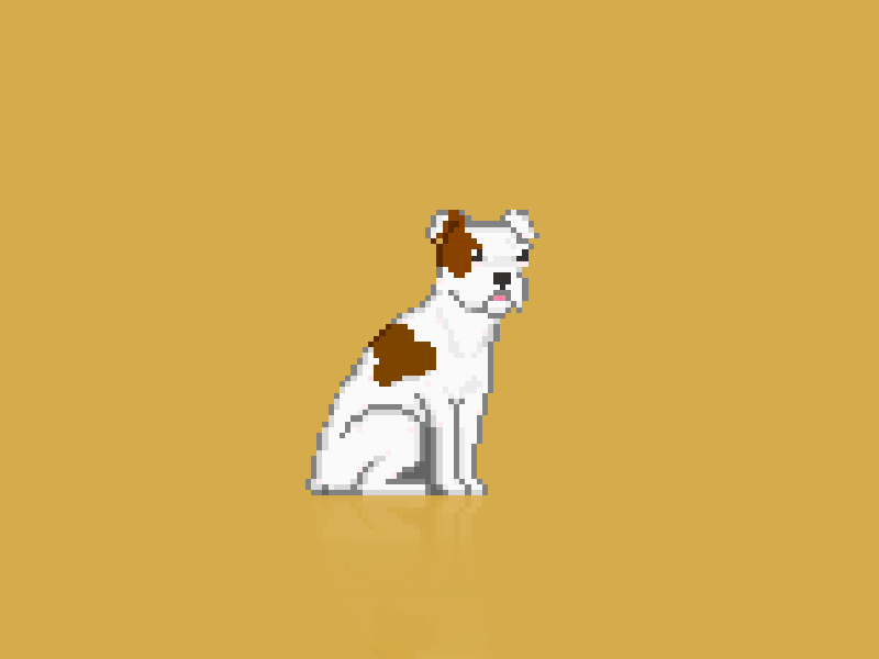 Blanquita 8bit 8bitart aseprite boxer dog pixel pixelanimation pixelart puppy