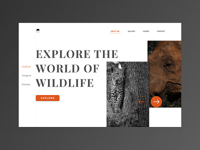 Wildlife Photography Portfolio - Website Concept hero section landing page minimalist portfolio ui ux web design website wildlife wildlife photography