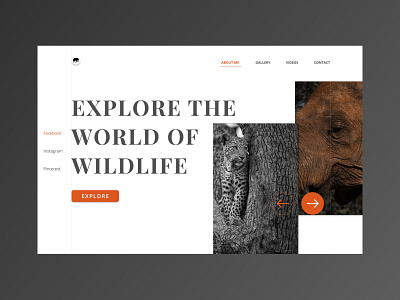 Wildlife Photography Portfolio - Website Concept