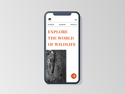 Wildlife Photography Portfolio - Responsive Design mobile portfolio responsive ui ux web wildlife wildlife photography