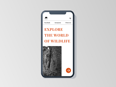 Wildlife Photography Portfolio - Responsive Design