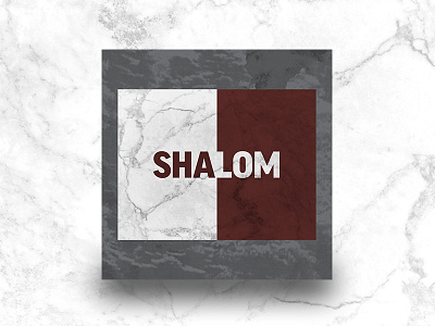 The Shalom Project