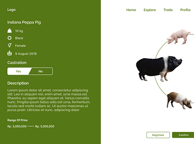 Pig Auction business design minimalistic ui web