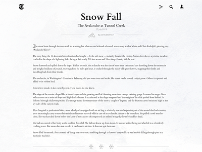 Snowfall - NY Times article blogpost news ny snow times