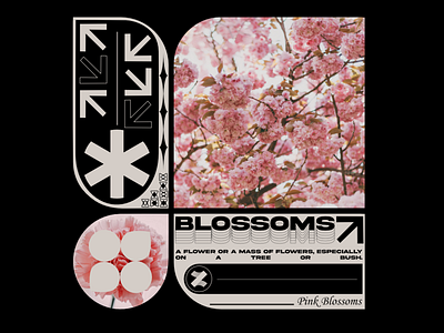 Pink Blossoms aciddesign cool design flower flowers layoutdesign pinkblossoms shapes