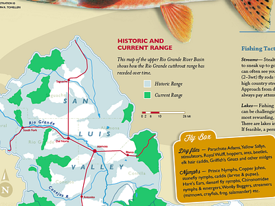 Fish Brochure - Detail cartography colorado design environment layout map trout