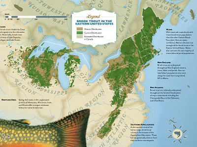 Brook Trout Distribution Map