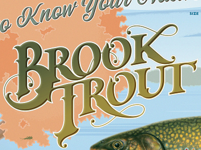 Brook Trout Poster Titling hand lettering poster