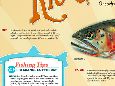 Poster Detail: Fishing Tips fish lettering poster retro