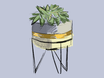 succulent in a concrete pot art illustration pot sketch succulent