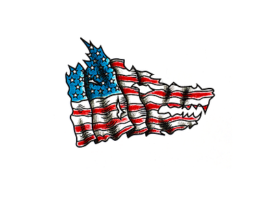 American Wolf america flag illustration pen pencil torn usa wolf