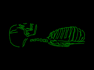 Body scan bone illustration pixel scan skeleton skull