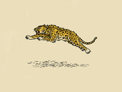 Big Cat big cat drawing illustration ink jaguar jump