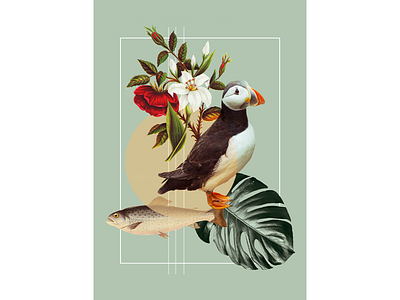 Puffin collage artwork collage graphic design illustration poster puffin puffin collage