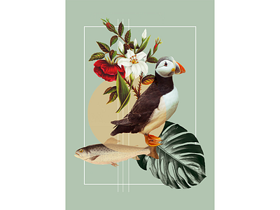 Puffin collage