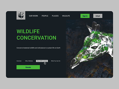 Wildlife Donation Page Design design ui ux