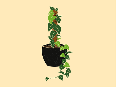 Pothos design flower pot illustration illustrator leaf plant pot pot pothos pothos plant pothos pot pottery vector