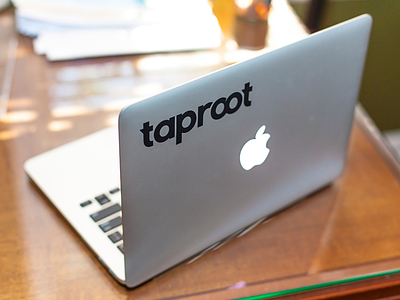 Logo - The Taproot Agency branding logo rebrand taproot typography