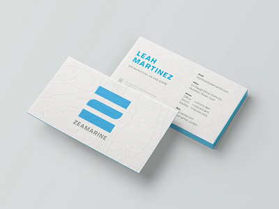 Business Card Direction branding business cards logo typography