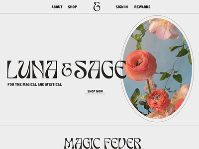 Luna & Sage - Brand Design + E-Commerce Website UI - Homepage branding design graphic design logo typography ui ux