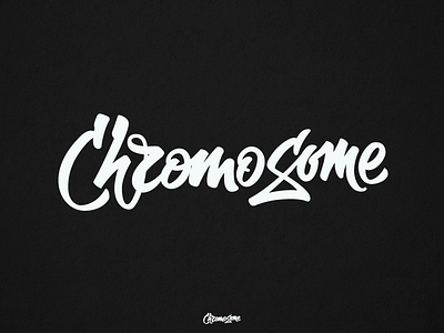 ChromoSome