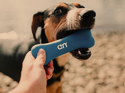 AN - logo design brand identity branding cute logo dog logo graphic design logo logo design pet branding visual identity