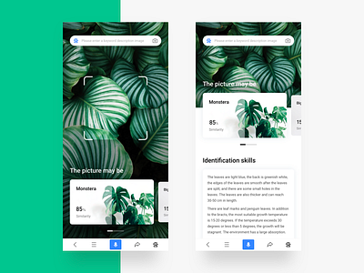 Photographing, plant identification app card design discriminate green identification monstera photo plant search similarity skill typesetting ui ux