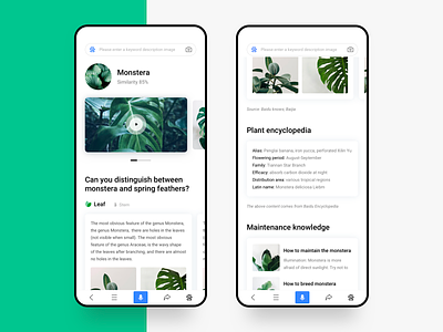 Plant encyclopedia app design discriminate green identification monstera photo plant search similarity skill surrounding typesetting ui ux