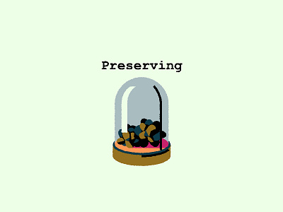 A little adventure: Preseving