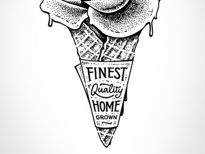 Flower Cone cone flower illustraiton lettering
