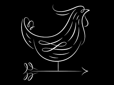 Pretty Chicken calligraphy chicken illustration linework