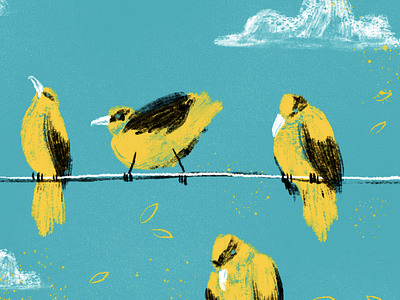 City Birds birds digital editorial illustration nature
