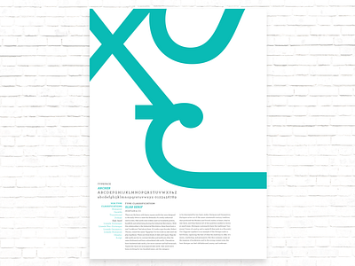 Typography Vox Classification Poster • Slab Serif