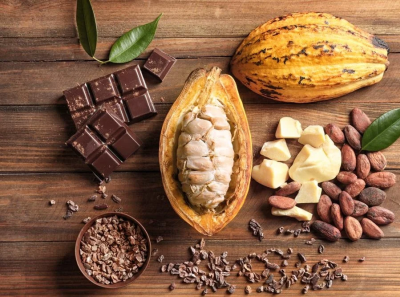 Does Cacao Have Caffeine Somacacao by somacacao on Dribbble