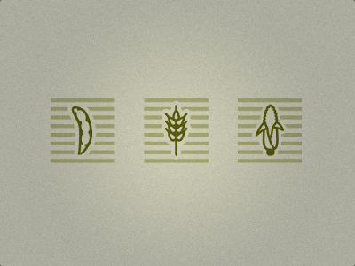 Crops corn fields icons soy wheat