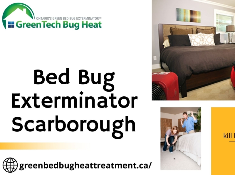 Kill Bed Bugs With Heat Scarborough By Green Bug Heat Treatment On Dribbble   Kill Bed Bugs With Heat Scarborough 