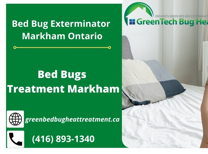 Bed Bugs Treatment Markham by Green Bug Heat Treatment on Dribbble