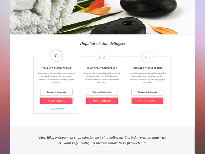 Massage Therapy website dutch massage therapy pricetable quote webdesign
