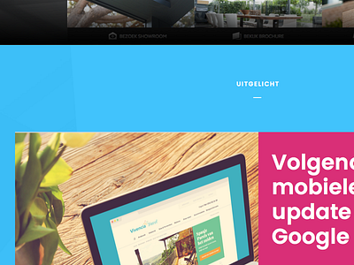 Homepage detail bold bright webdesign wordpress