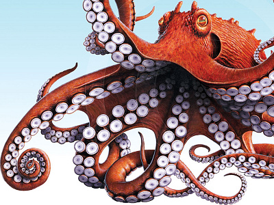Octopus animals art digital fish illustration oceans octopus sea sea life suckers tentacles wildlife
