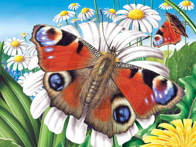 Peacock Butterfly art bluebells butterfly childrens. daisy digital flowers illustration insects peacock wildlife