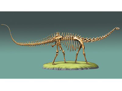 Diplodocus bones dinosaurs diplodocus dippy exhibit illustration museum prehistoric prehistory skeleton