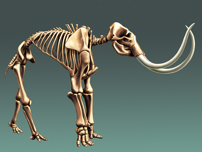 Mammoth bones exhibit illustration mammoth museum prehistoric prehistory skeleton tusks