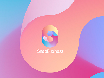 SnapBusiness app ui color logo mash